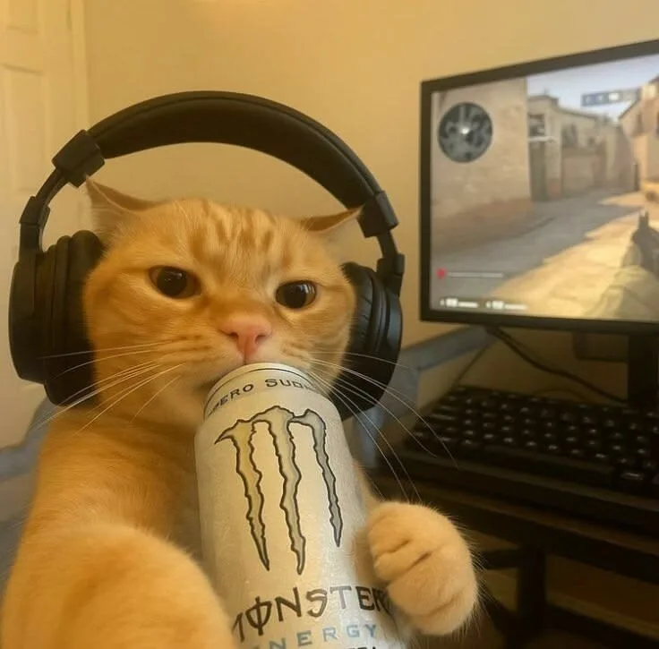 Charuu